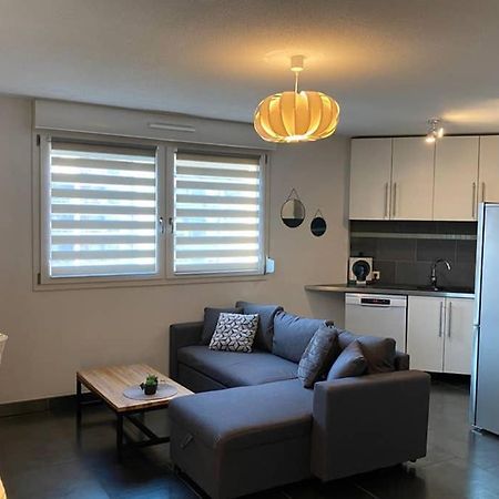 Appartement F2 au calme, proche gare, Center Parc, Sainte Croix à Sarrebourg Extérieur photo